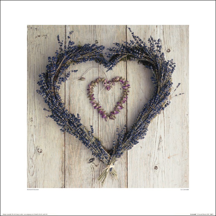 Howard Shooter (La Lavende)