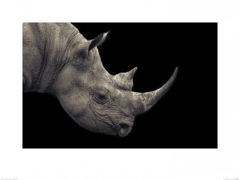 Mario Moreno (In Critical Danger)