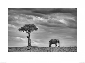 Mario Moreno (Land of Giants)