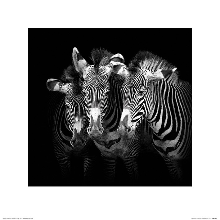 Marina Cano (Shades of Grevy)