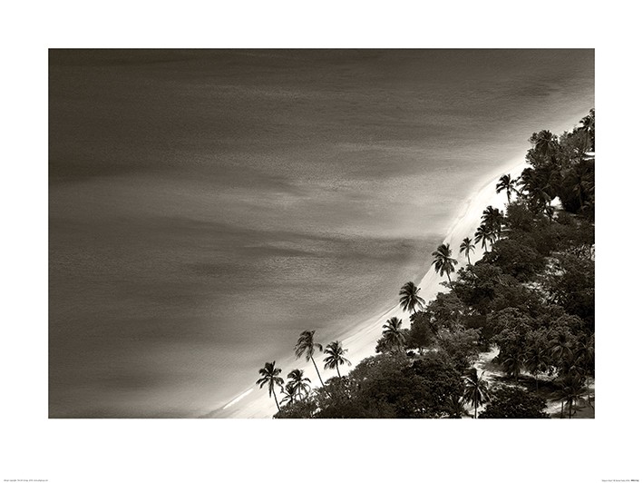 Dennis Frates (Magens Beach)